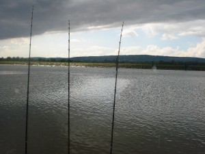 vissen 2010 160